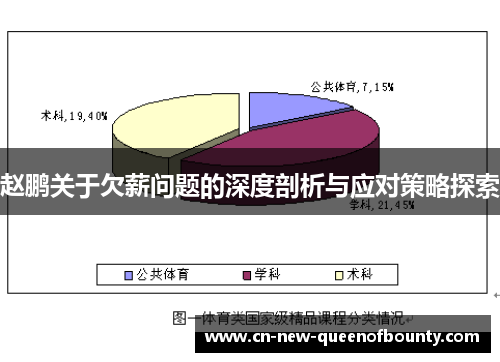 赵鹏关于欠薪问题的深度剖析与应对策略探索