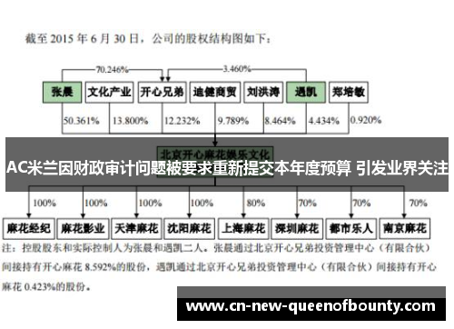 AC米兰因财政审计问题被要求重新提交本年度预算 引发业界关注